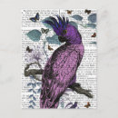 Recherche de perroquets cartes postales Antique