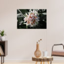 Recherche de pureté posters Floral