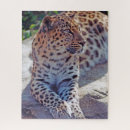 Recherche de magnifique puzzles Nature