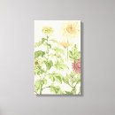 Recherche de chrysanthème art Jardins