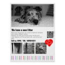 Recherche de puppy posters Chiots