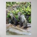 Recherche de triplets posters Animal