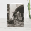 Recherche de copains vœux cartes Doux