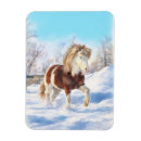 Recherche de peinture de cheval magnets Aquarelle
