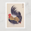 Recherche de bantam cartes postales Oiseau