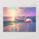 Recherche de rose flamant cartes postales Coucher de soleil