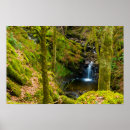 Recherche de argyle posters Vert