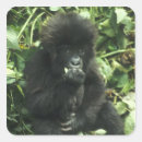 Recherche de gorille de montagne autocollants Faune