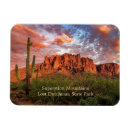 Recherche de saguaro magnets Nature