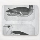 Recherche de profil tapis souris Oiseau