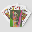 Recherche de grenouilles jeux de cartes Amphibien