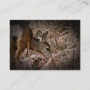 Recherche de cerfs communs cartes visite Faune
