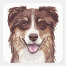Recherche de australiens de berger autocollants Pour tous