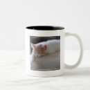 Recherche de chaton fatigué tasses Sommeil