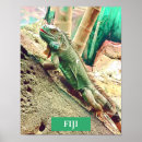 Recherche de fiji posters Photo de lézard