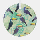 Recherche de toucan ornements Aquarelle