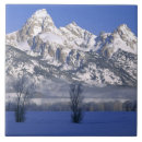 Recherche de teton grand carreaux Extérieur