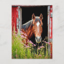 Recherche de porte de grange cartes postales Cheval