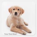 Recherche de domestiqué autocollants Dog