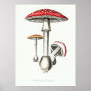 Recherche de champignon comestible posters Tabouret