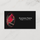 Recherche de oiseau cardinal cartes visite Faune