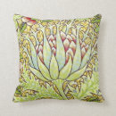 Recherche de artichaut coussins Botanique