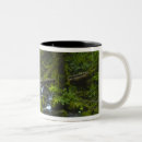 Recherche de sch tasses Ruisseau