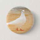 Recherche de pigeons badges Colombe