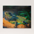 Recherche de faune puzzles Forêt tropicale