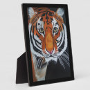 Recherche de jungle plaques Chat