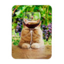 Recherche de verre de vin magnets Humour