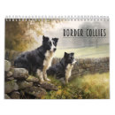 Recherche de border collie bureau fournitures Chien de berger