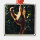 Recherche de orang outan ornements Dehors