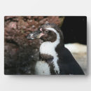 Recherche de pingouin plaques Animal