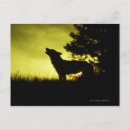 Recherche de silhouette de loup cartes postales Nature