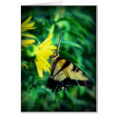 Recherche de magick vœux cartes Nature