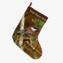Recherche de poulet chaussette de noël Oiseau