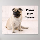 Recherche de drogues posters Guerre contre la drogue