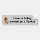 Recherche de yorkshire terrier voiture autocollants Chiot