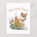 Recherche de inus shiba cartes postales Race de chien