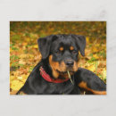 Recherche de acres cartes postales Automne