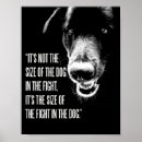 Recherche de combat de chien Chiens