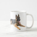 Recherche de rassemblement du chien tasses Chiot