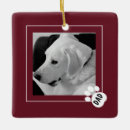 Recherche de chien mignon ornements Toute personne