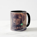 Recherche de labrador retriever tasses Voiture