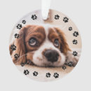 Recherche de pawprint Empreintes de pattes