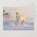 Recherche de cheval cartes postales neige