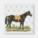 Recherche de étalon noir magnets Cheval