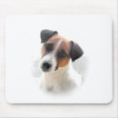 Recherche de cric russell tapis souris Portrait
