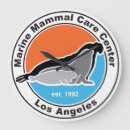 Recherche de pinniped Mammifère